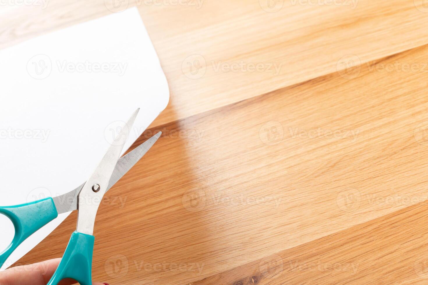 Office Scissors close up photo