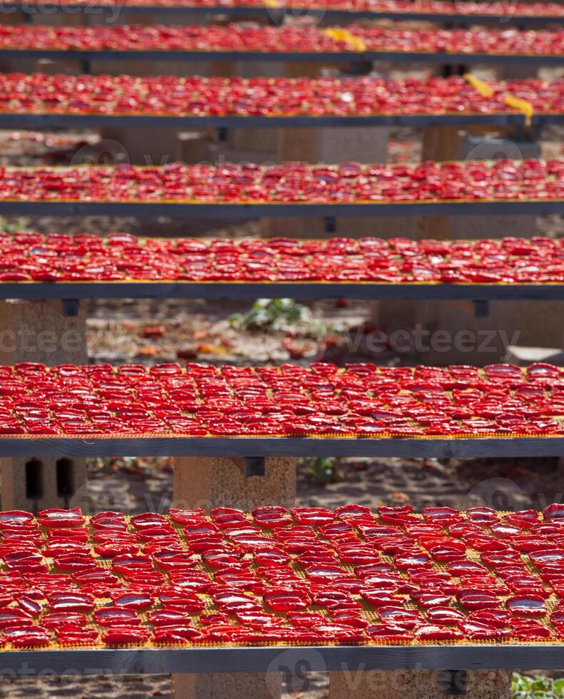 Dried red ripe tomatoes, photo