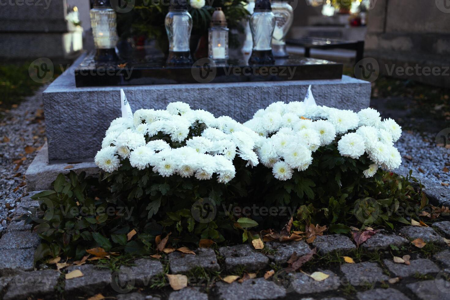 Decorated graves at a cemetery on All Saints Day , Wszystkich Swietych in Poland. photo
