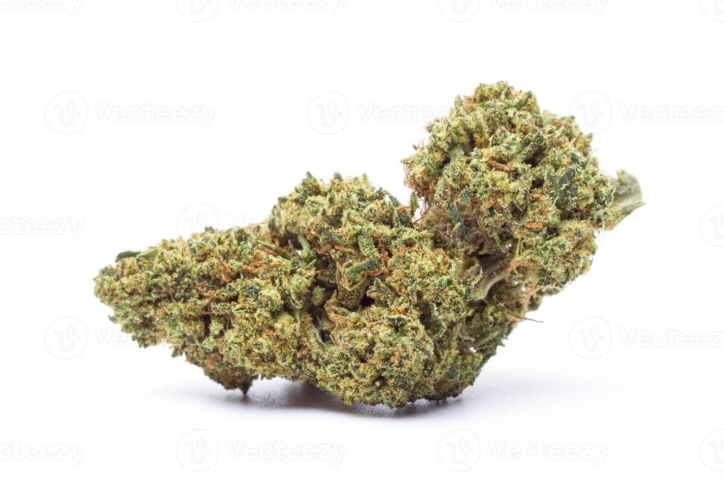 Marijuana flower isolated on white background photo