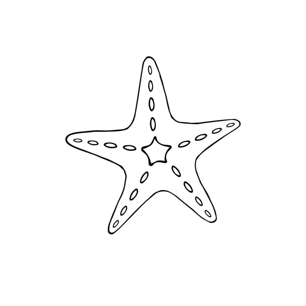 Hand drawn doodle sketch starfish vector