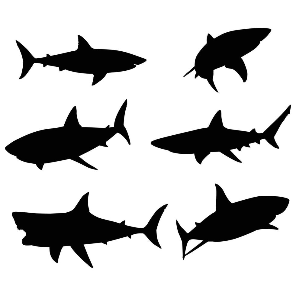 Professional Shark Icon Clean and Detailed Illustration vector