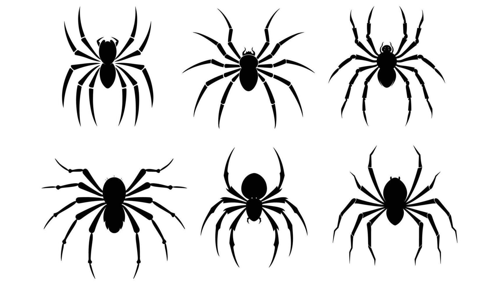Set of Black Spider Icons Illustrations for Halloween and Nature vector