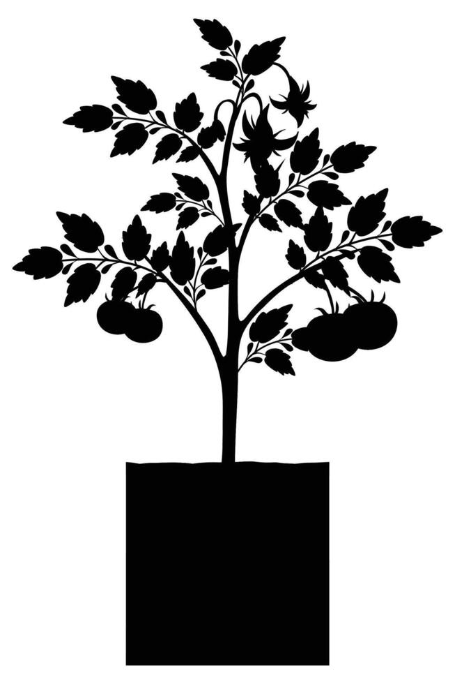 Silhouettes of Different House Plants in Pots Illustrations for Home Decor vector