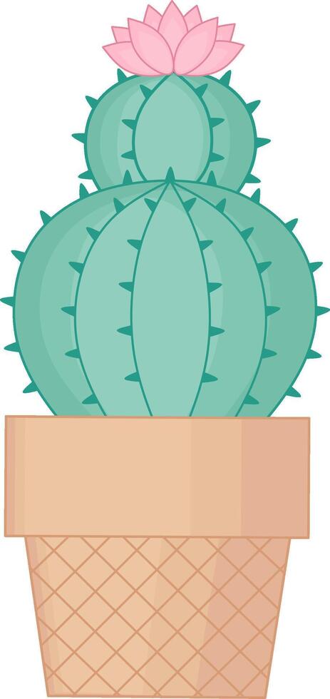 Green Cactus With Pink Flower. House Plant vector