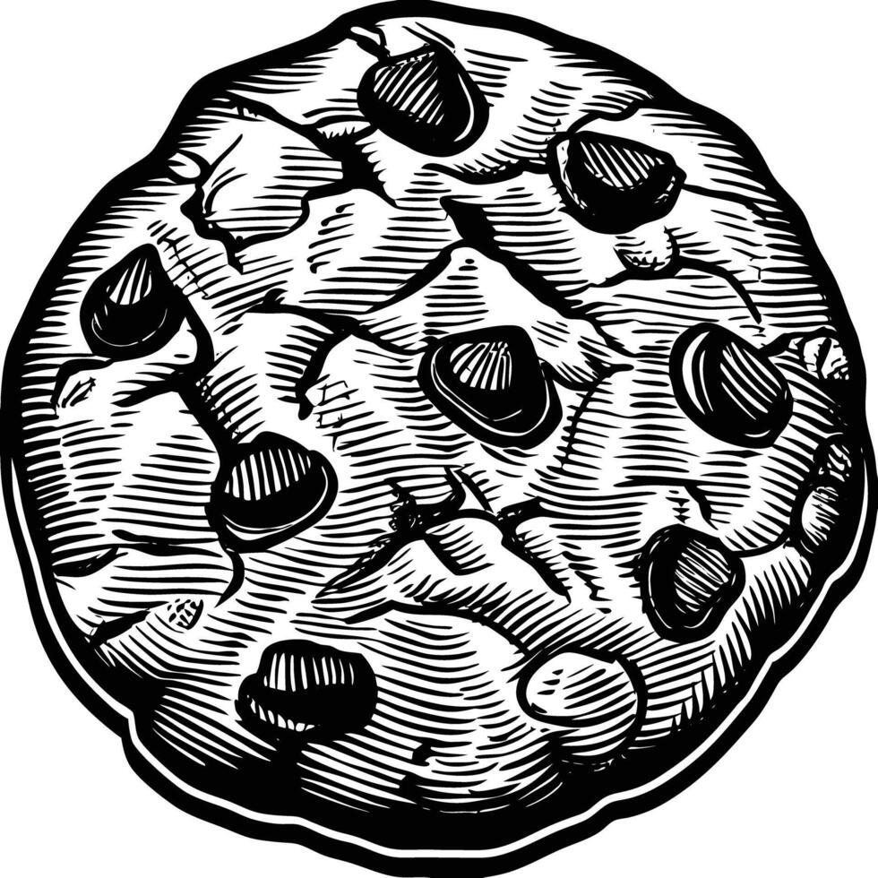 Chocolate chip cookie vector
