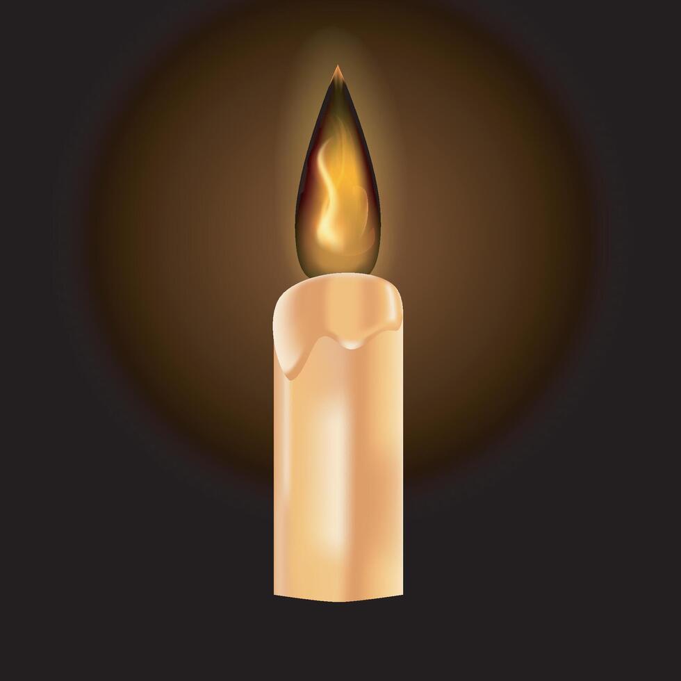 Realistic candle flame on black background vector