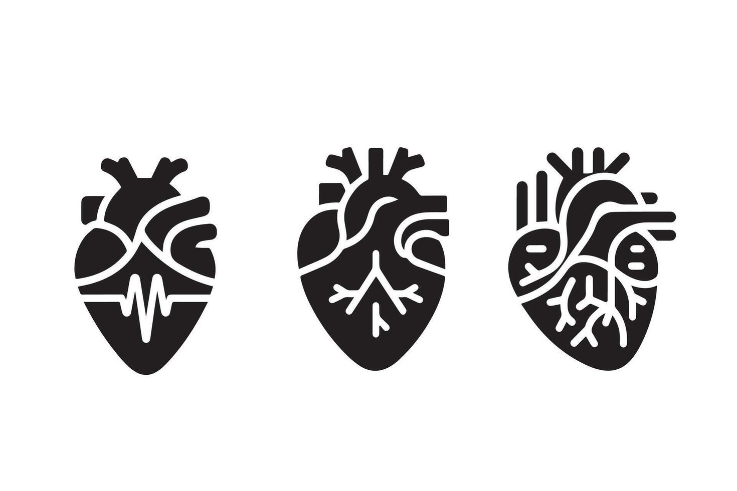 Human Cardiac Muscle organ Art silhouette vector
