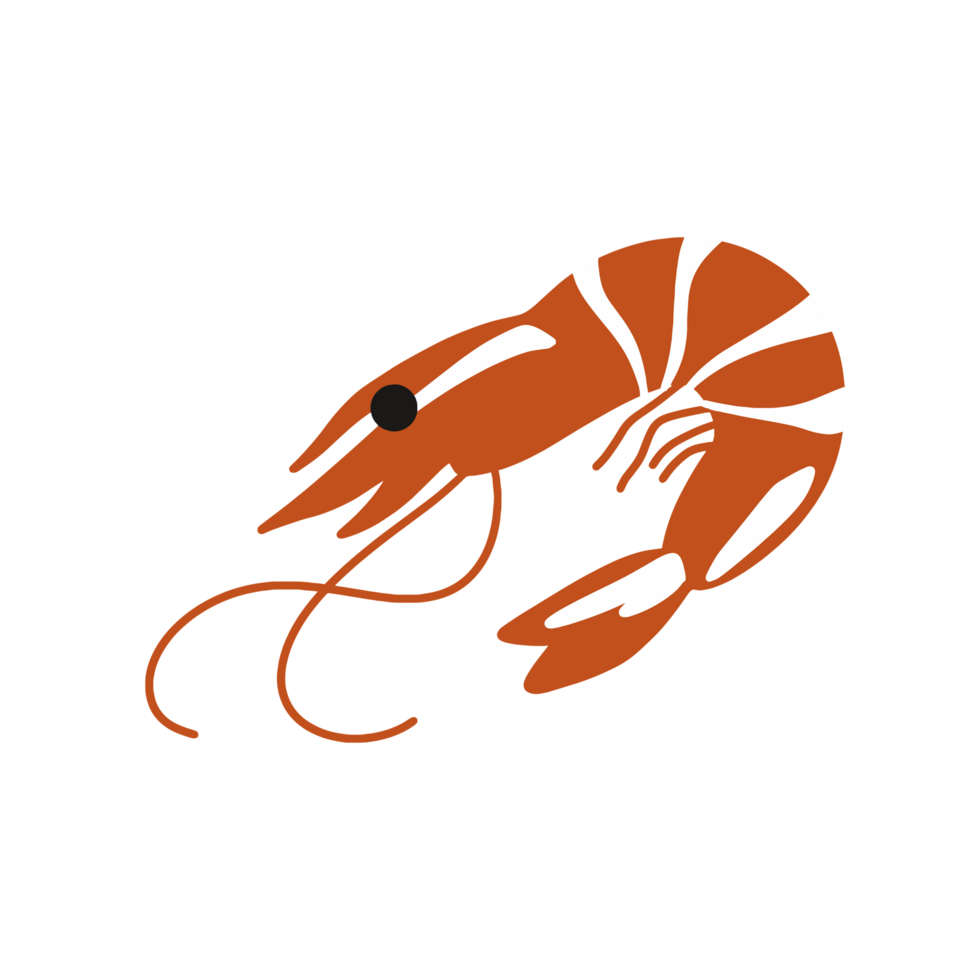 A Shrimp illustration png