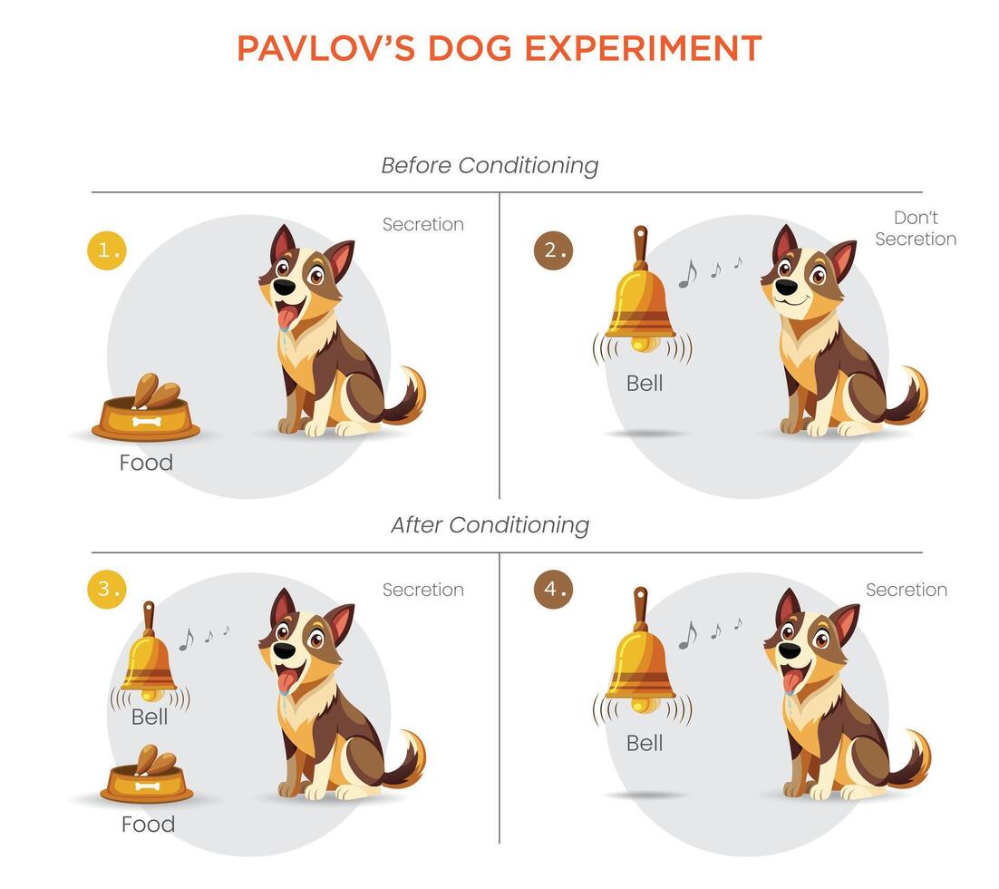 Pavlov Dog Experiment Exploring Classical Conditioning and Learned Responses vector