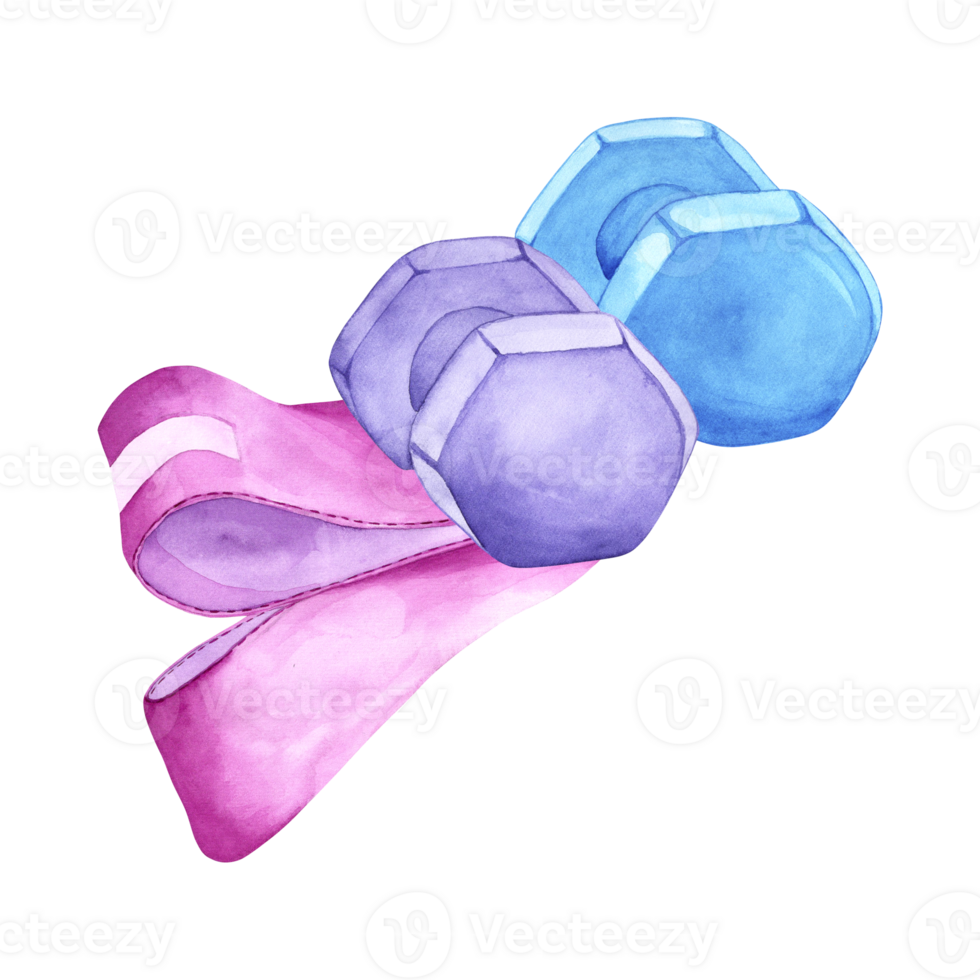 Watercolor illustration of dumbbells and elastic band. The drawing is done by hand. Elements on a transparent background. Image of objects for stickers, scrapbooking, posters, prints png