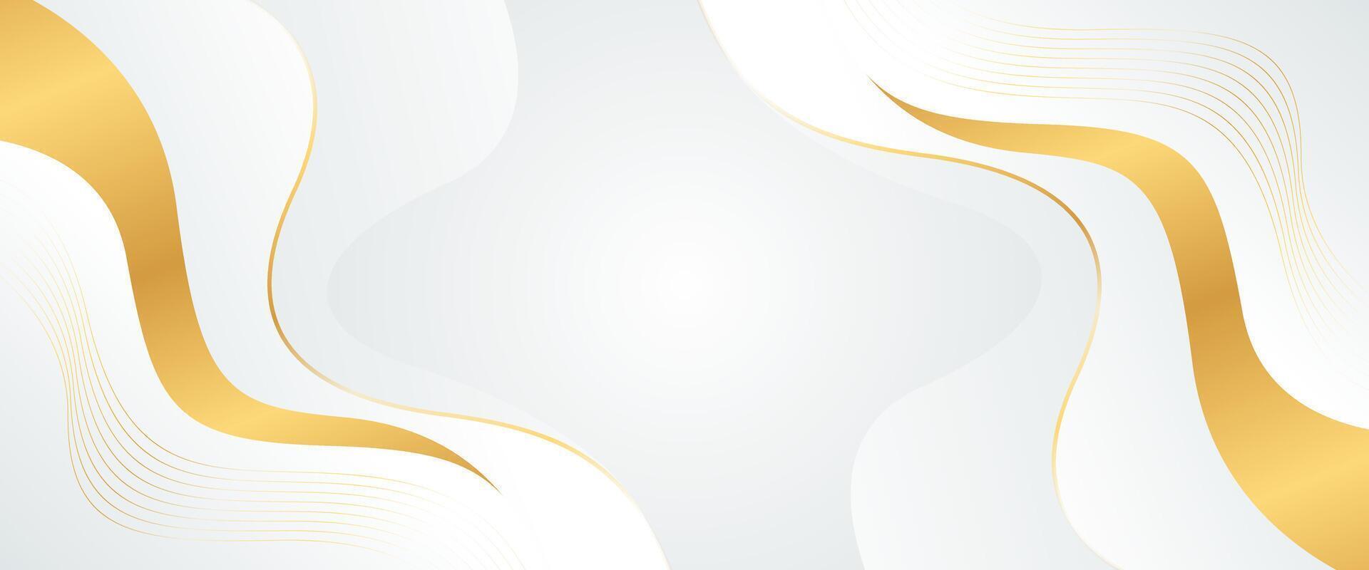 Elegant white-gray luxury banner background with gold lines. Abstract wallpaper vector