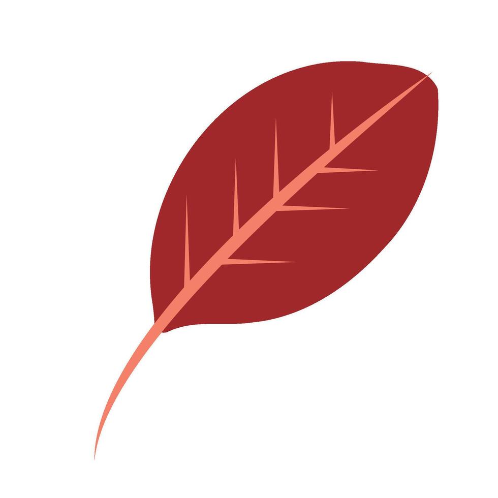 Organic leaf, symbolizes growth in nature vector