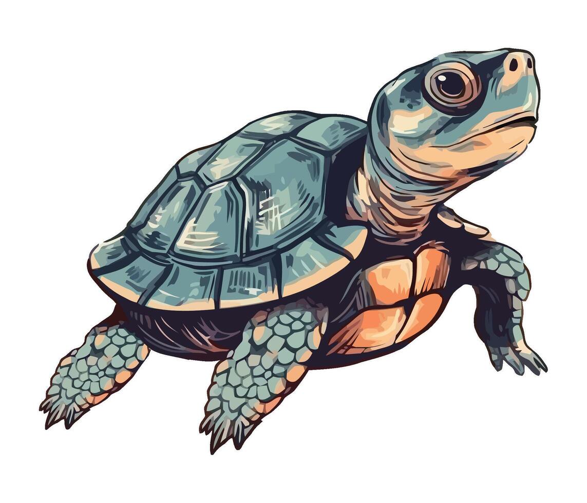 Slow turtle crawling on white background, cute icon isolated vector