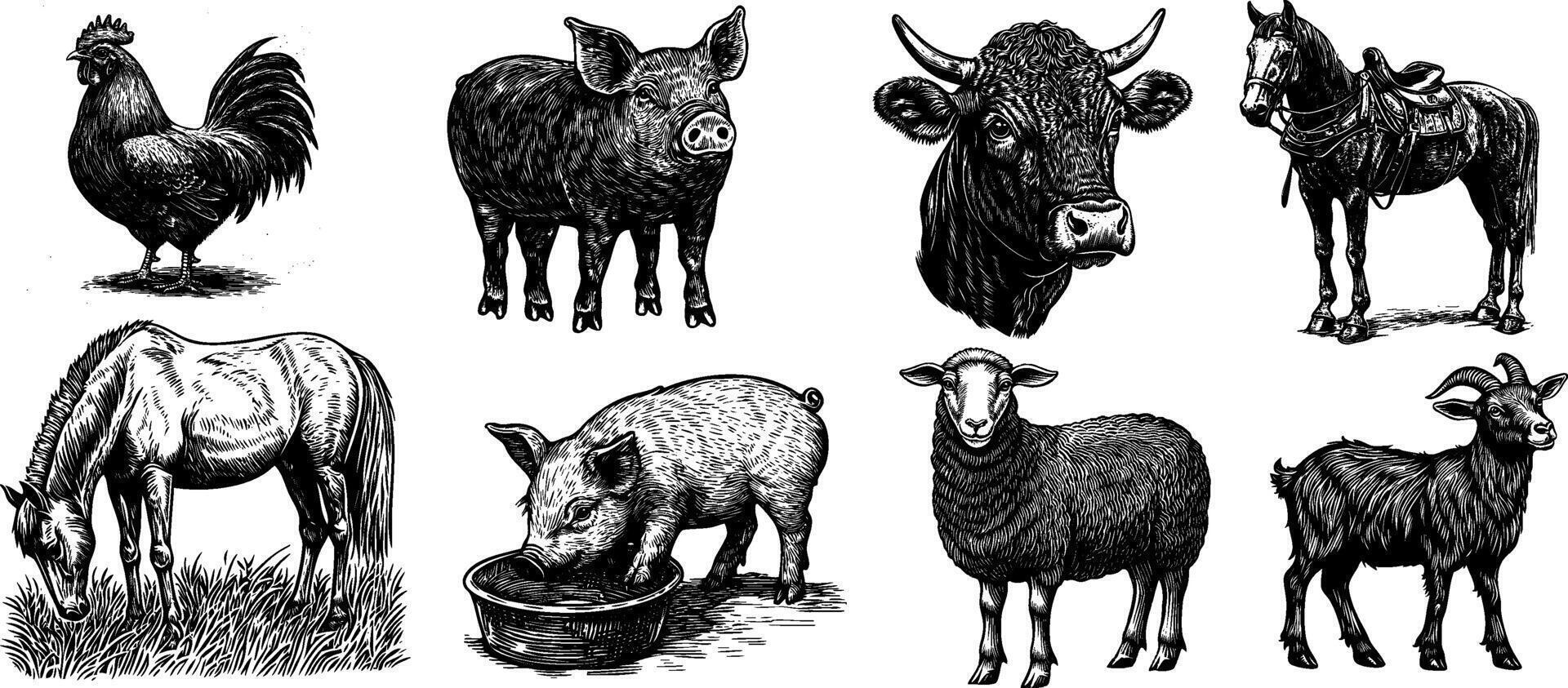 Vintage farm animal illustration set. Hand drawn sketches of pork, goat, pig, sheep, chicken,horse, rooster and cow. vector