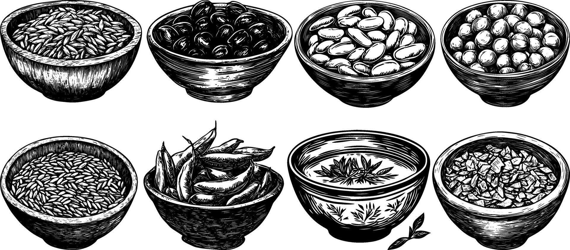 sketch set of rice, grain, farro, caper, fava, chickpea and chili. vector