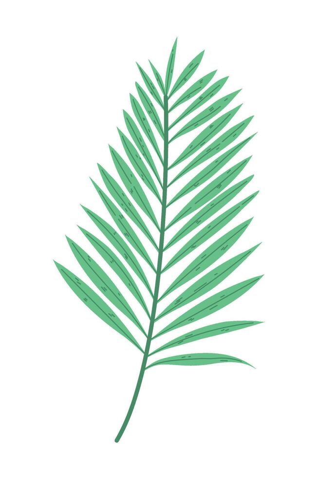 leaf tropical branch icon design isolated vector