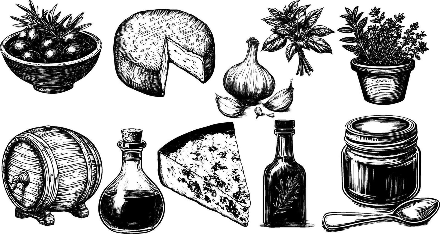 Vintage illustration set of mustard, basil, and olive ingredients, featuring engraved bottles of vinegar and oil. vector