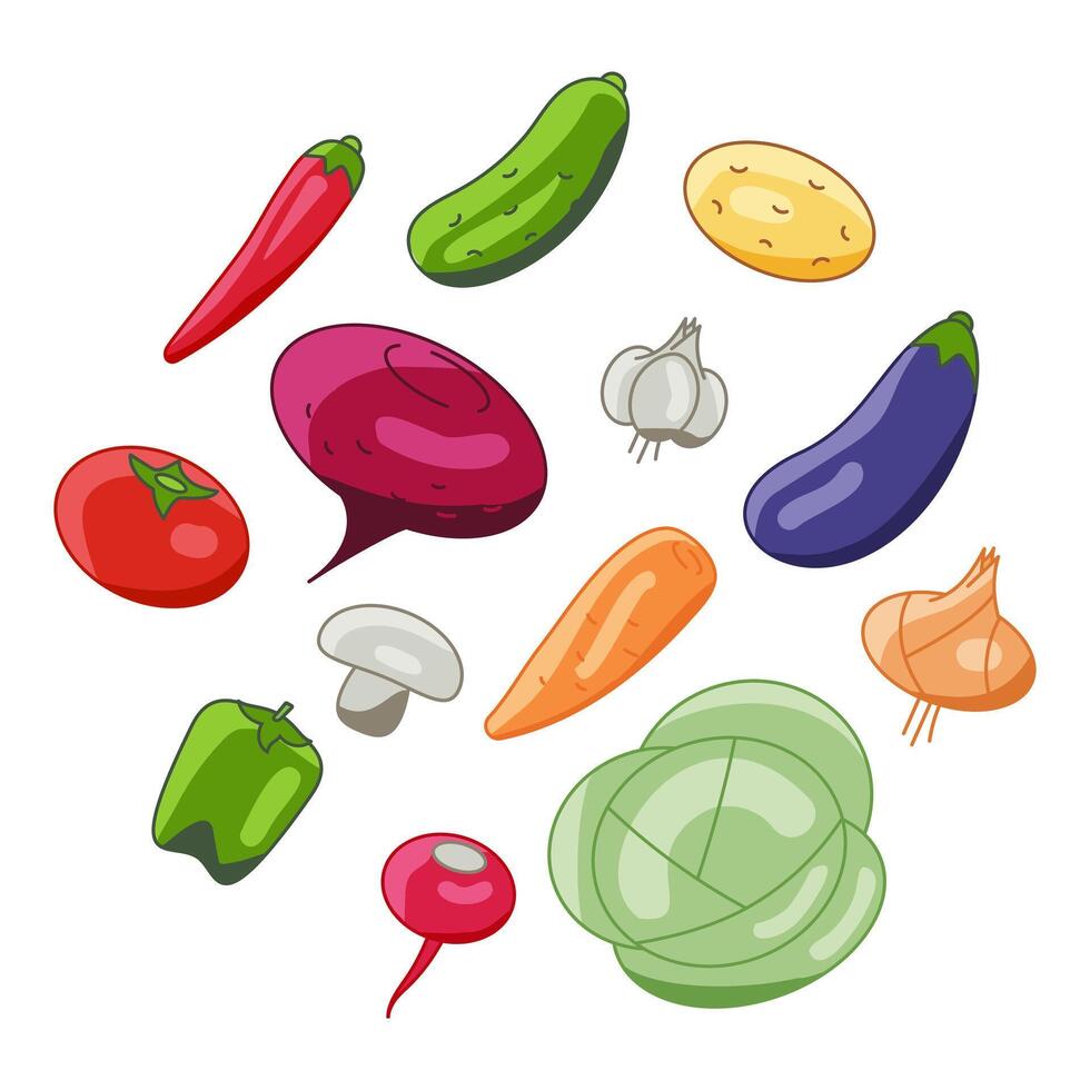 Vegetarian menu made of vegetables radish, eggplant, beets. vegetable cabbage, carrots, cucumber, garlic, onions, peppers. vector