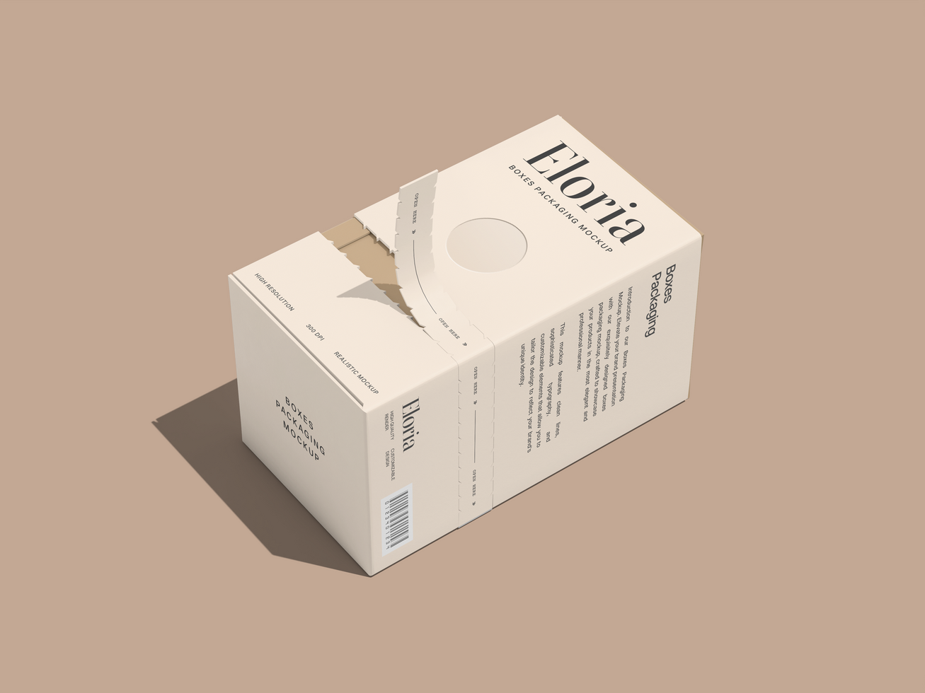 Rectangular Package Box Mockup psd