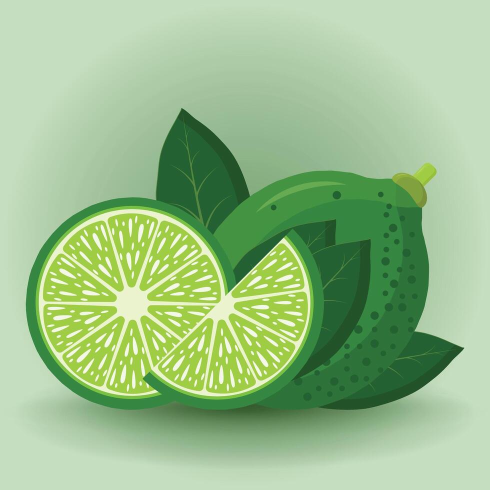 Juicy ripe green lime for healthy eating vector