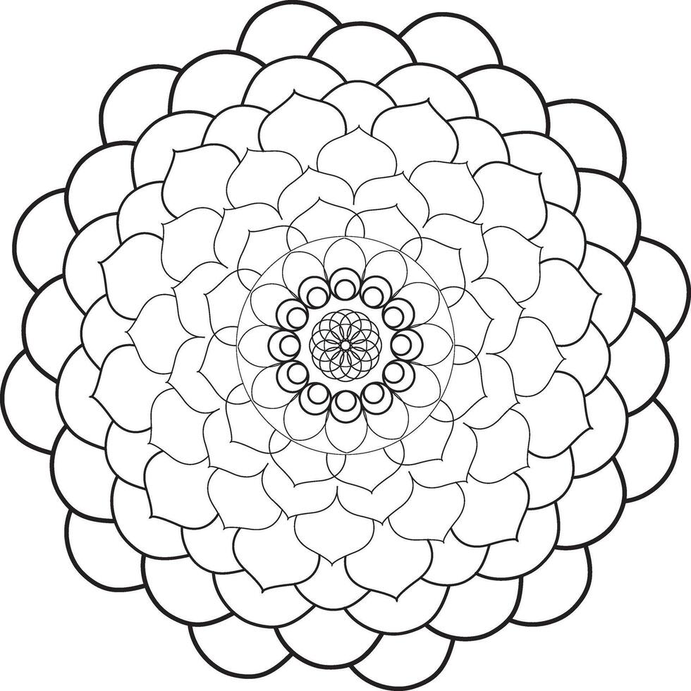 mandala design art vector