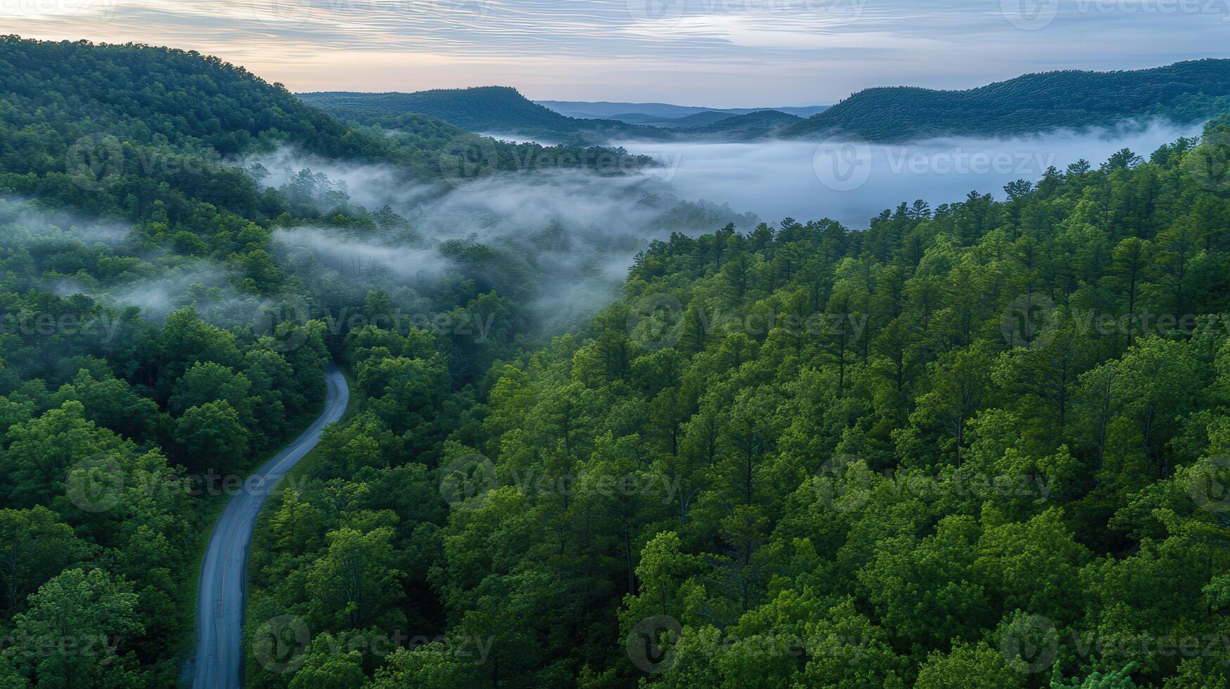 Aerial view of winding road through misty green hills at dawn photo