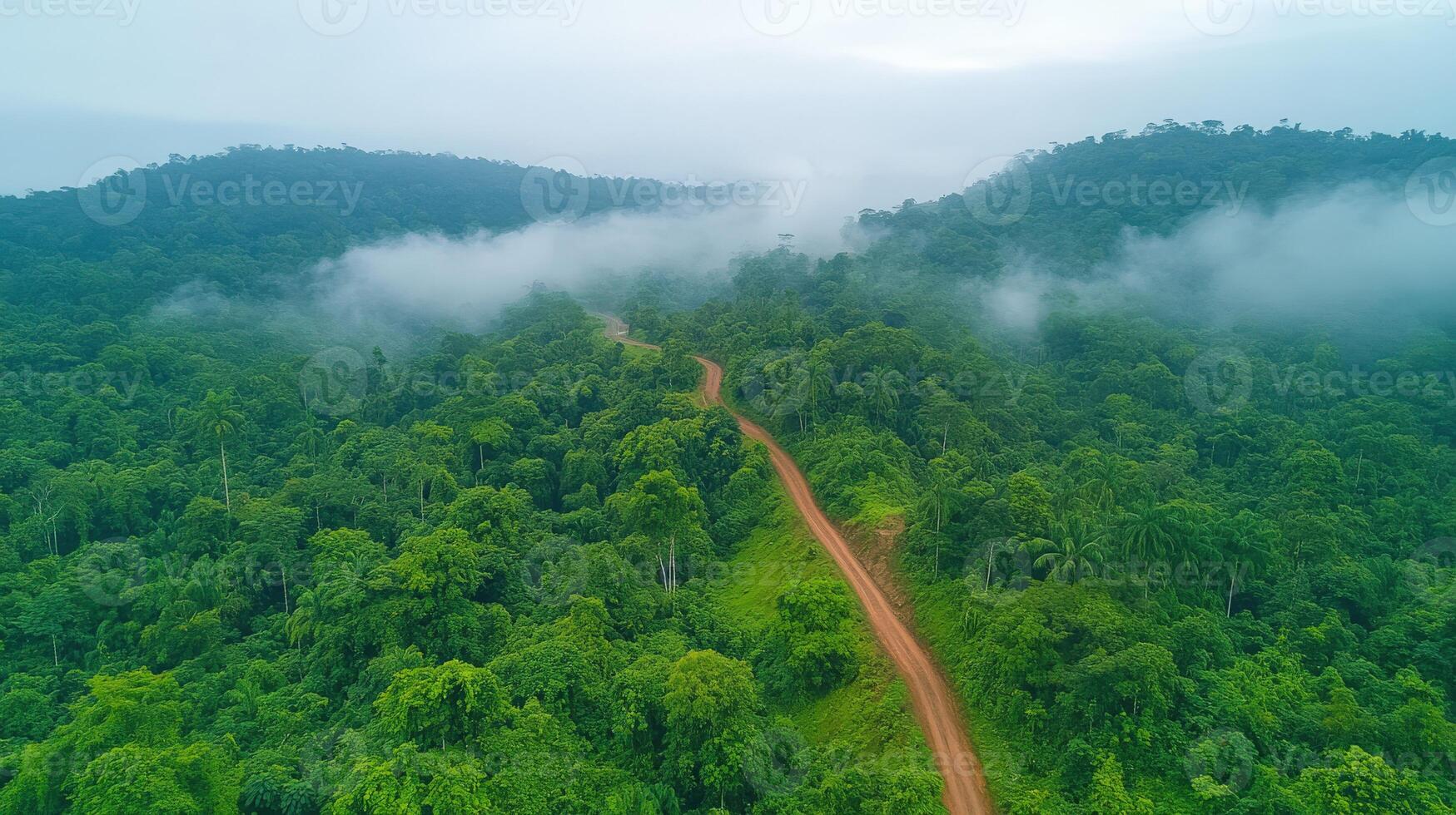 Aerial view of a winding dirt road through lush green forest photo