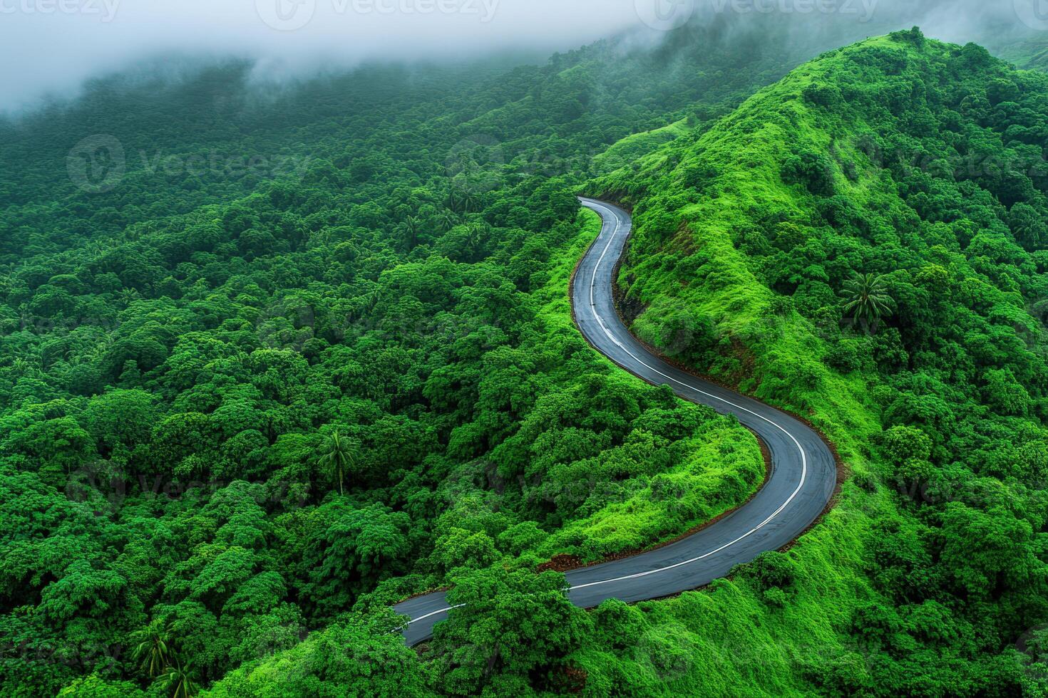 Aerial view of a winding road through lush green mountains in daytime photo