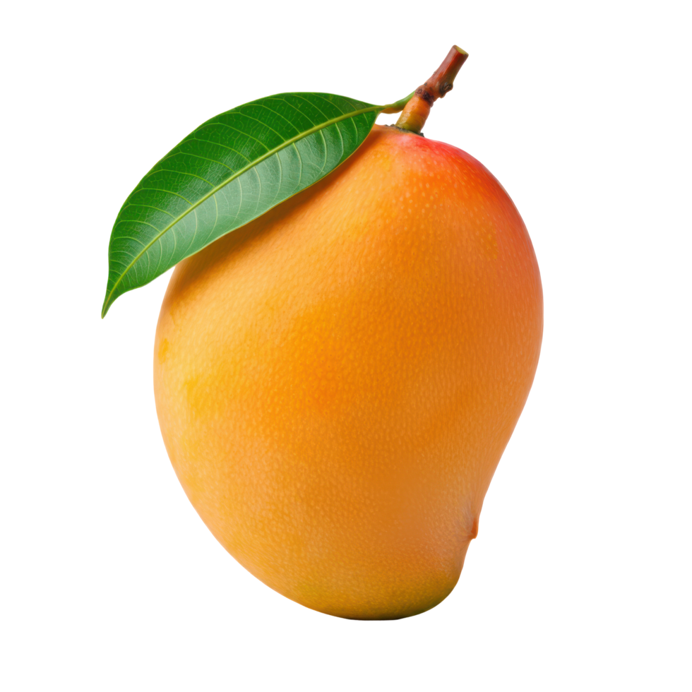 Isolated ripe mango, resting on a transparent canvas. png