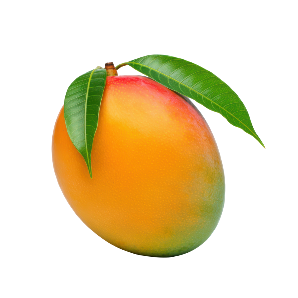 A fully ripened mango, displayed on a clear, transparent backdrop. png