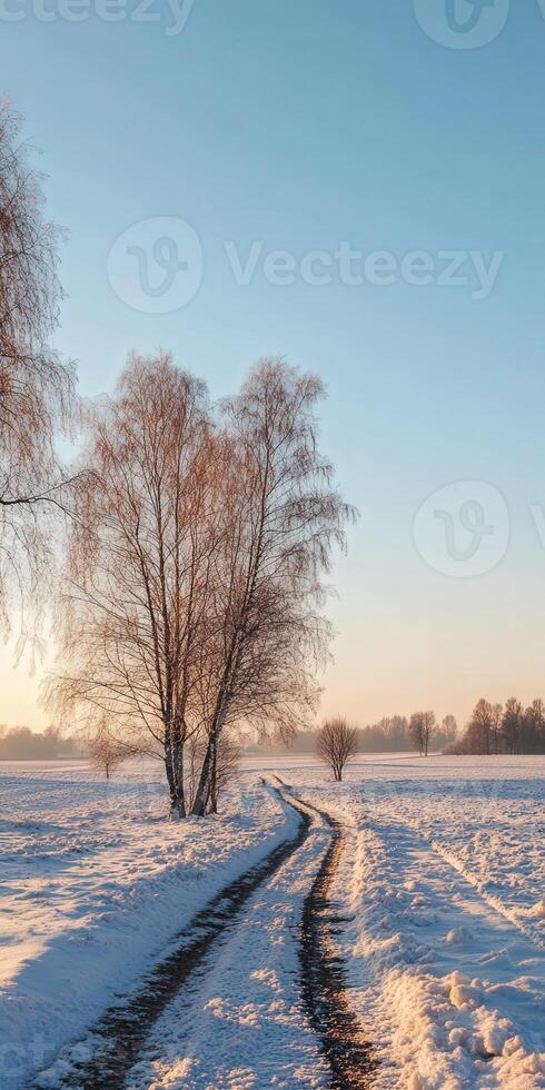 Snowy pathway leading to a winter landscape at sunset in a rural area photo