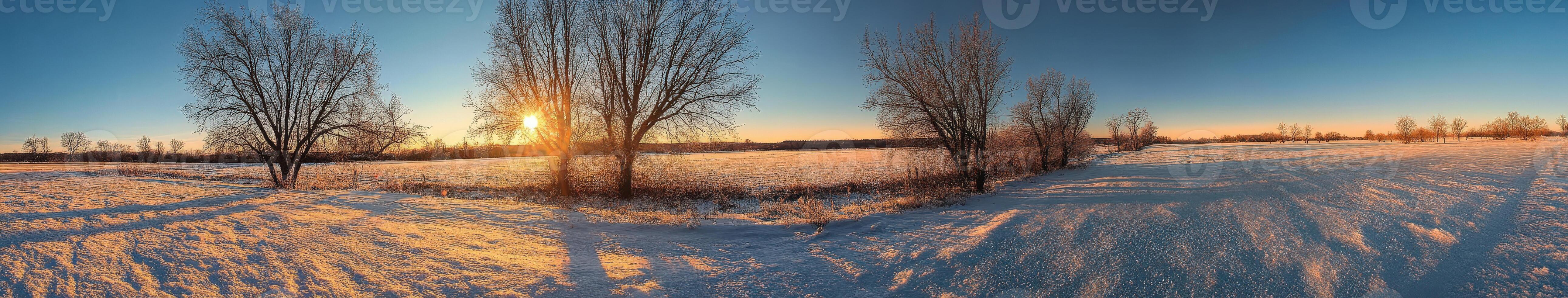 Sunset over a snowy landscape with barren trees in a tranquil field photo