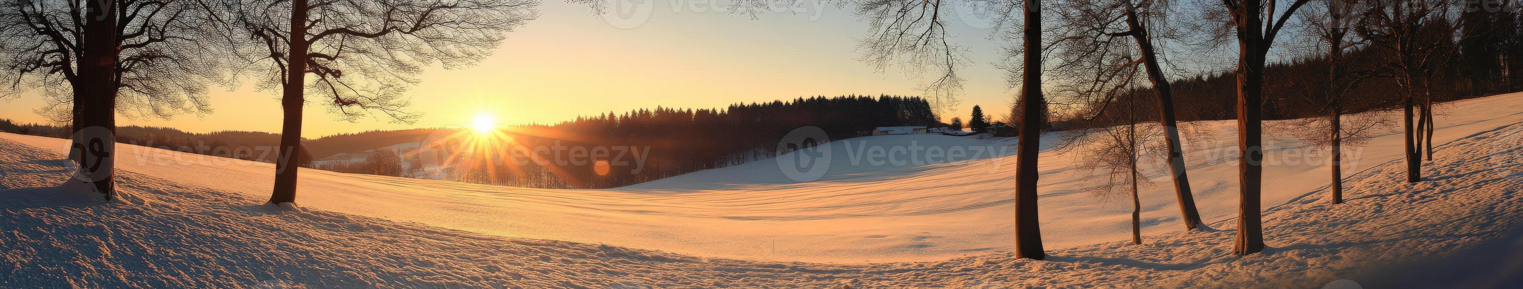 Golden sunrise over a snow-covered landscape with trees in winter photo