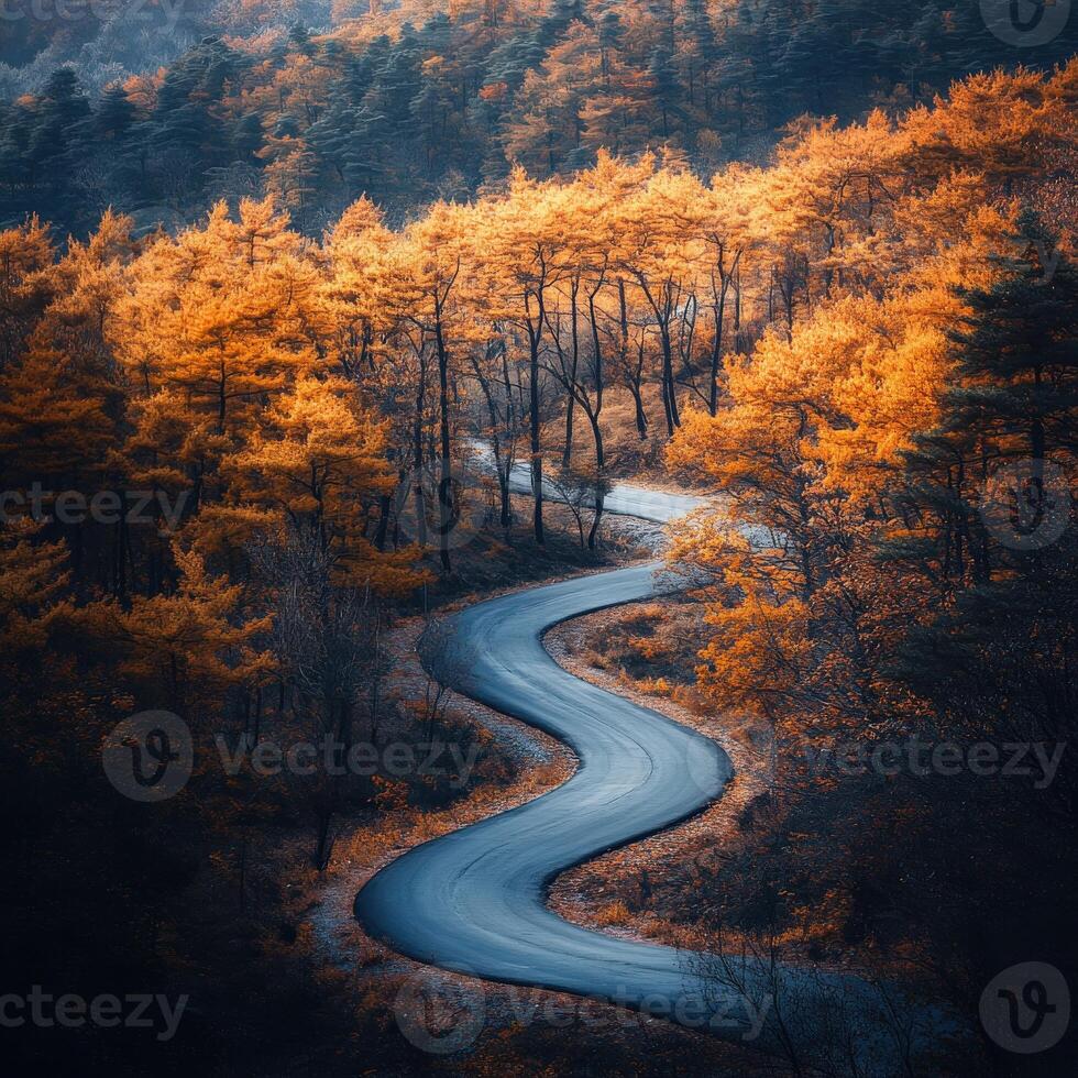 Winding road through autumn foliage in a serene forest setting photo