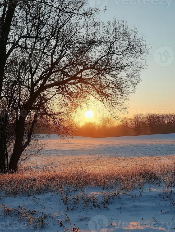 Winter sunset over a snowy field with bare trees in the foreground photo