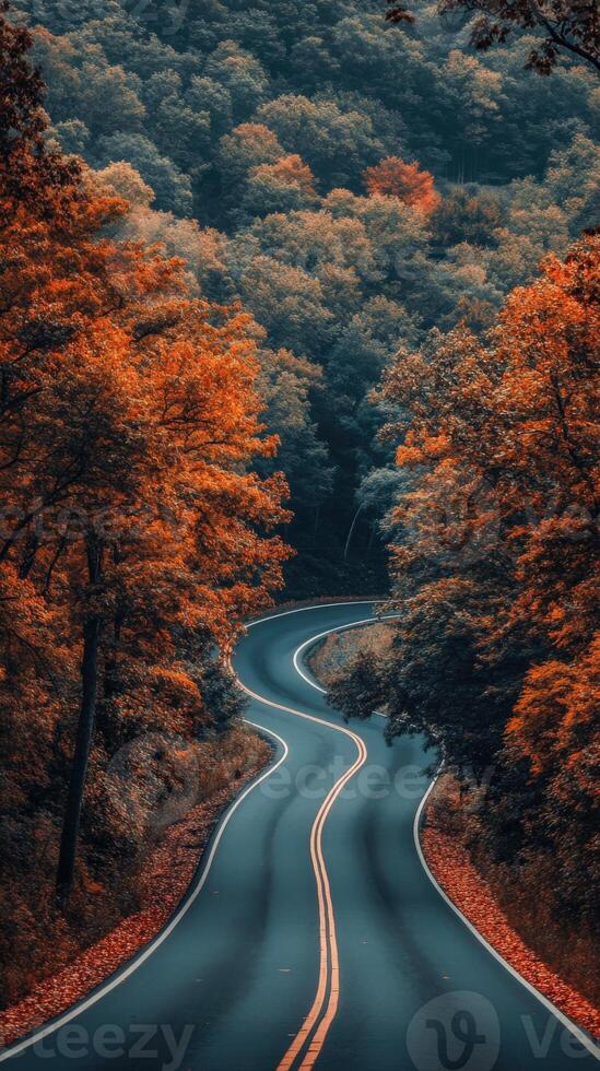Winding road surrounded by vibrant autumn trees in mountainous area photo