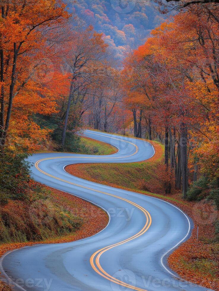 Winding road through colorful autumn trees in a mountainous area photo