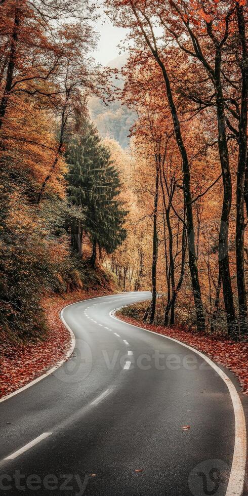 Winding road through autumn foliage in a tranquil forest setting photo