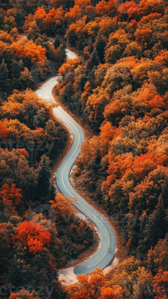Winding road through vibrant autumn trees in a forest photo