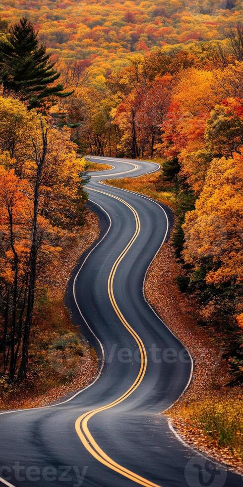Winding road through vibrant autumn foliage in a forested area photo