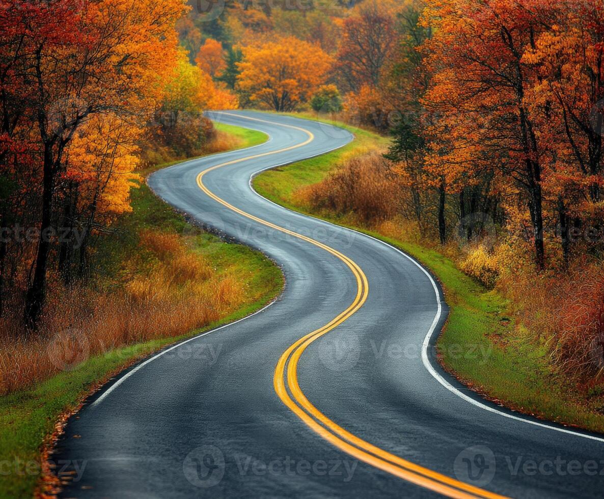 Winding road through colorful autumn foliage in a tranquil landscape photo