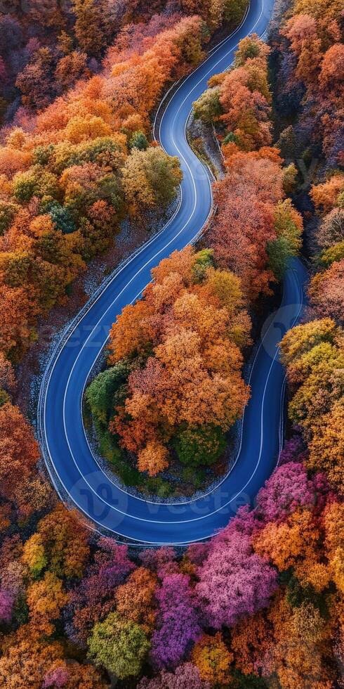 Winding road through vibrant autumn trees in a colorful forest photo