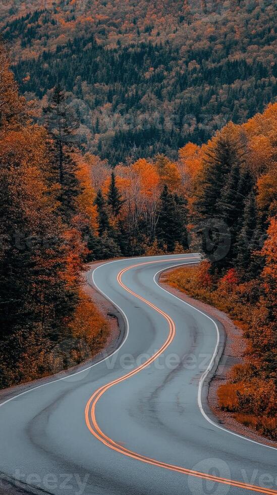 Winding road through colorful autumn foliage in a serene landscape photo