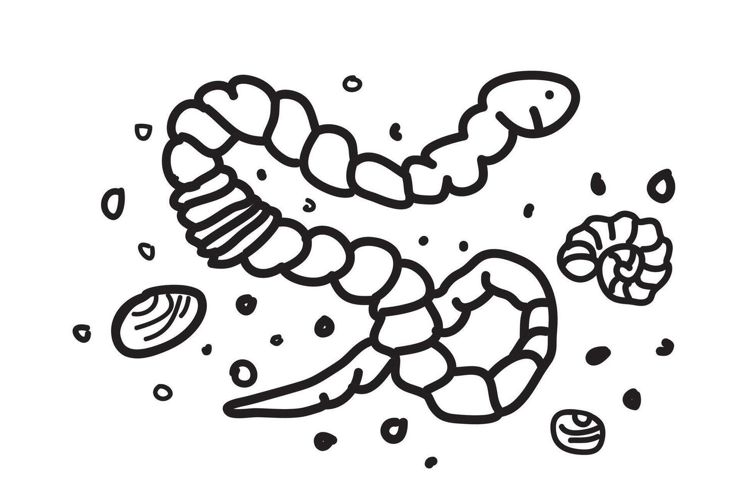 Cartoon hand drawn black outline worm isolated on white background artistic illustration. Line art graphic design for children coloring book invitation greeting card flyer banner event vector