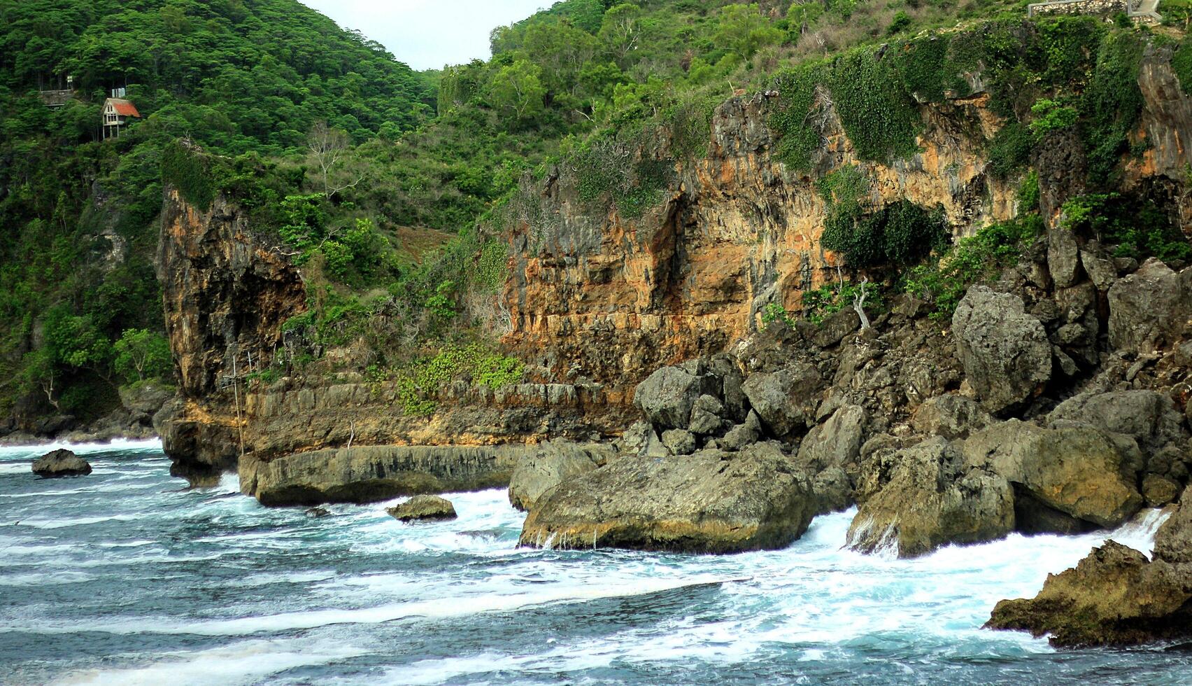 Beautiful Sea with Coral and Water photo
