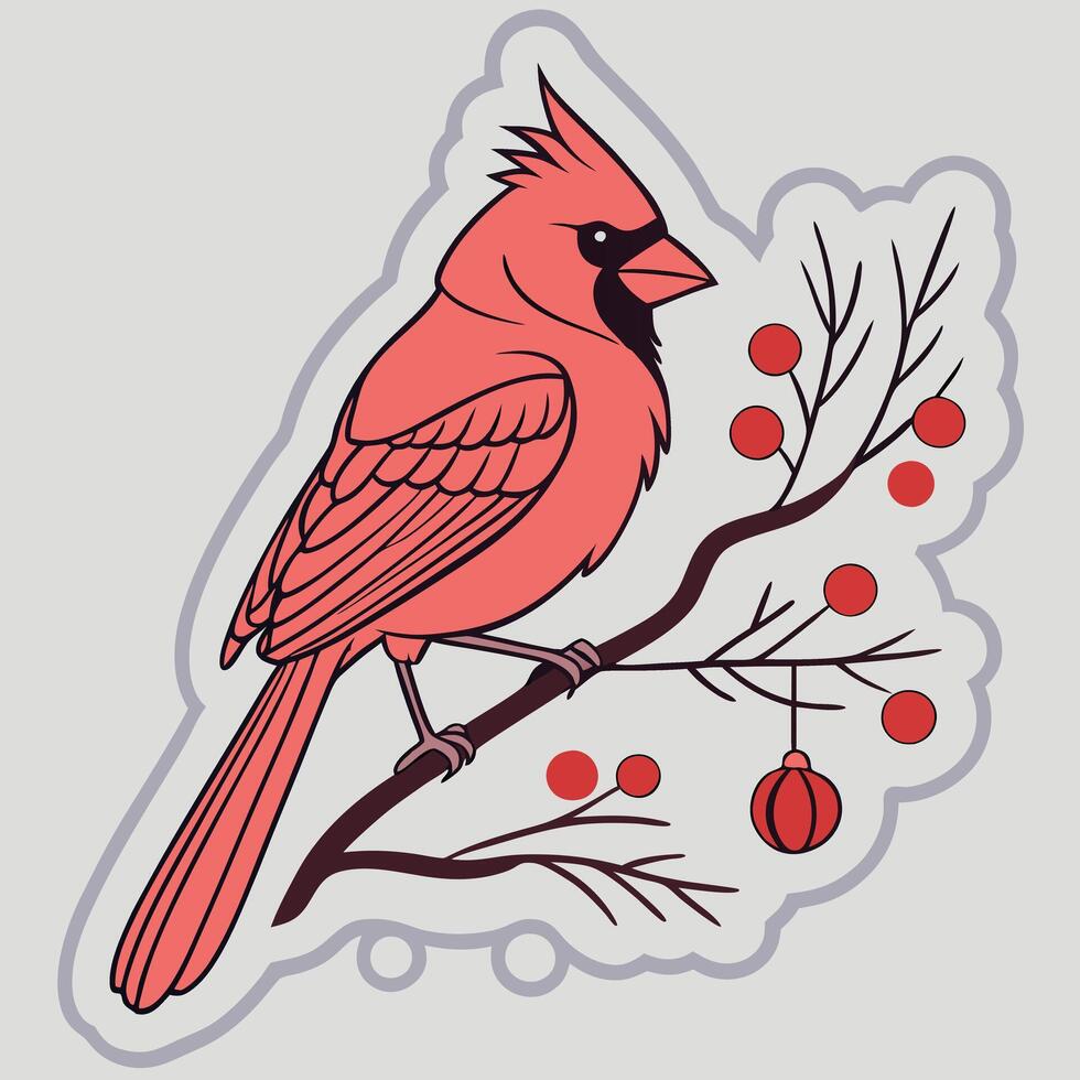 christmas-cardinal-sticker-white-border with grey vector