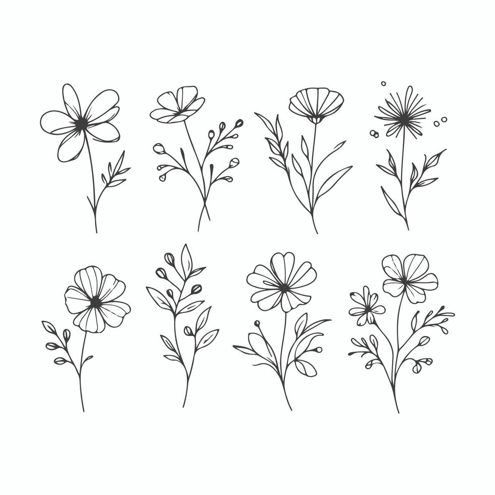 Elegant Floral Sketches in Minimal Line Art Style vector