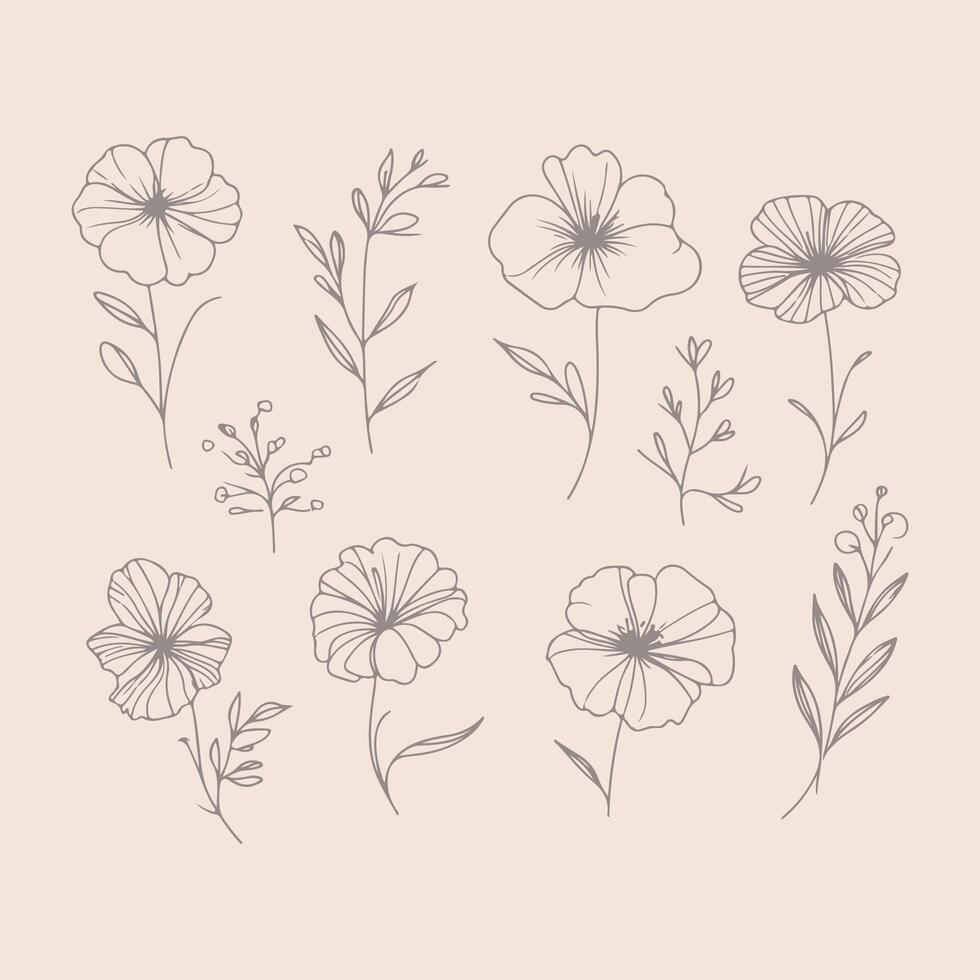 Modern Botanical Flower Line Art Illustrations vector