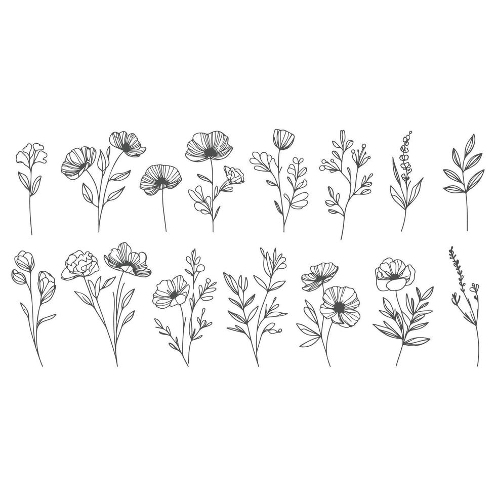 Minimalist Botanical Line Art Flower Collection vector